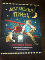 Маленький принц с подробными объяснениями и иллюстрациями | Сент-Экзюпери Антуан де #8, Анастасия