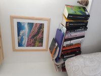 Картина в раме Postermarket "Розовые рододендроны в горах", 40 х 40 см #5, Зарецкая Анна
