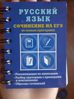 Русский язык. Сочинение на ЕГЭ по новым критериям | Колчина Светлана Евгеньевна #6, Екатерина М.