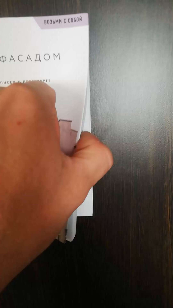 За фасадом. 25 писем о Петербурге и его жителях (возьми с собой ...