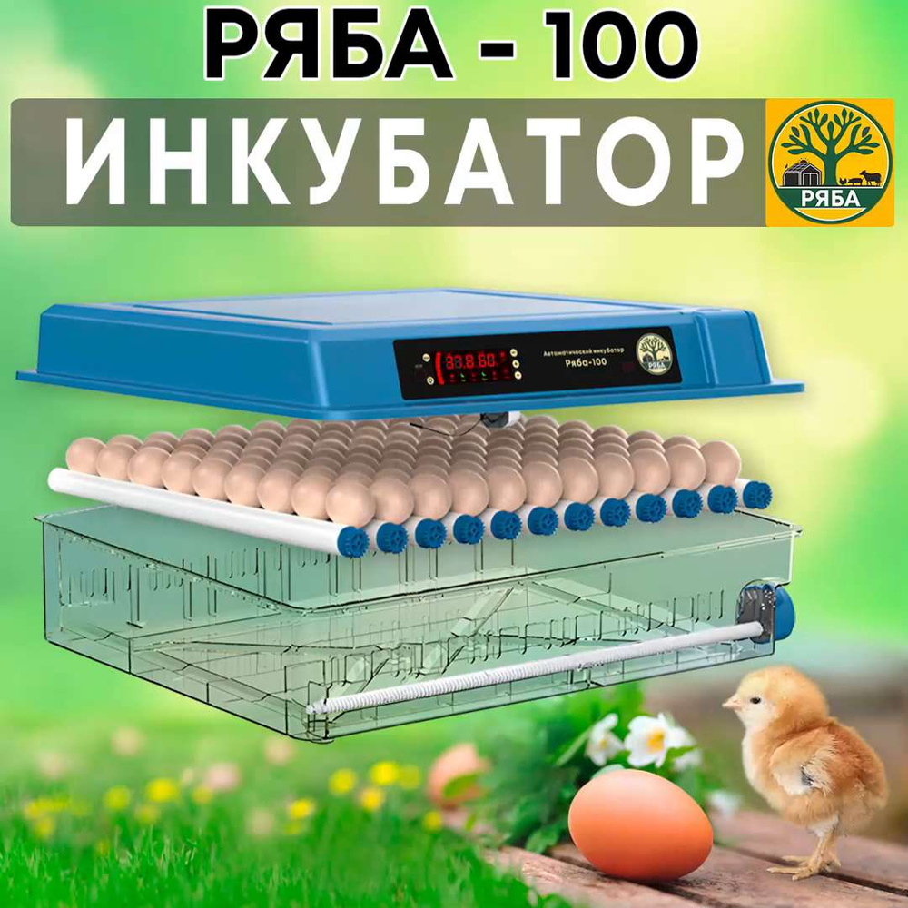 Рейтинг инкубаторов объемом 500-2000 яиц, на сегодняшний день